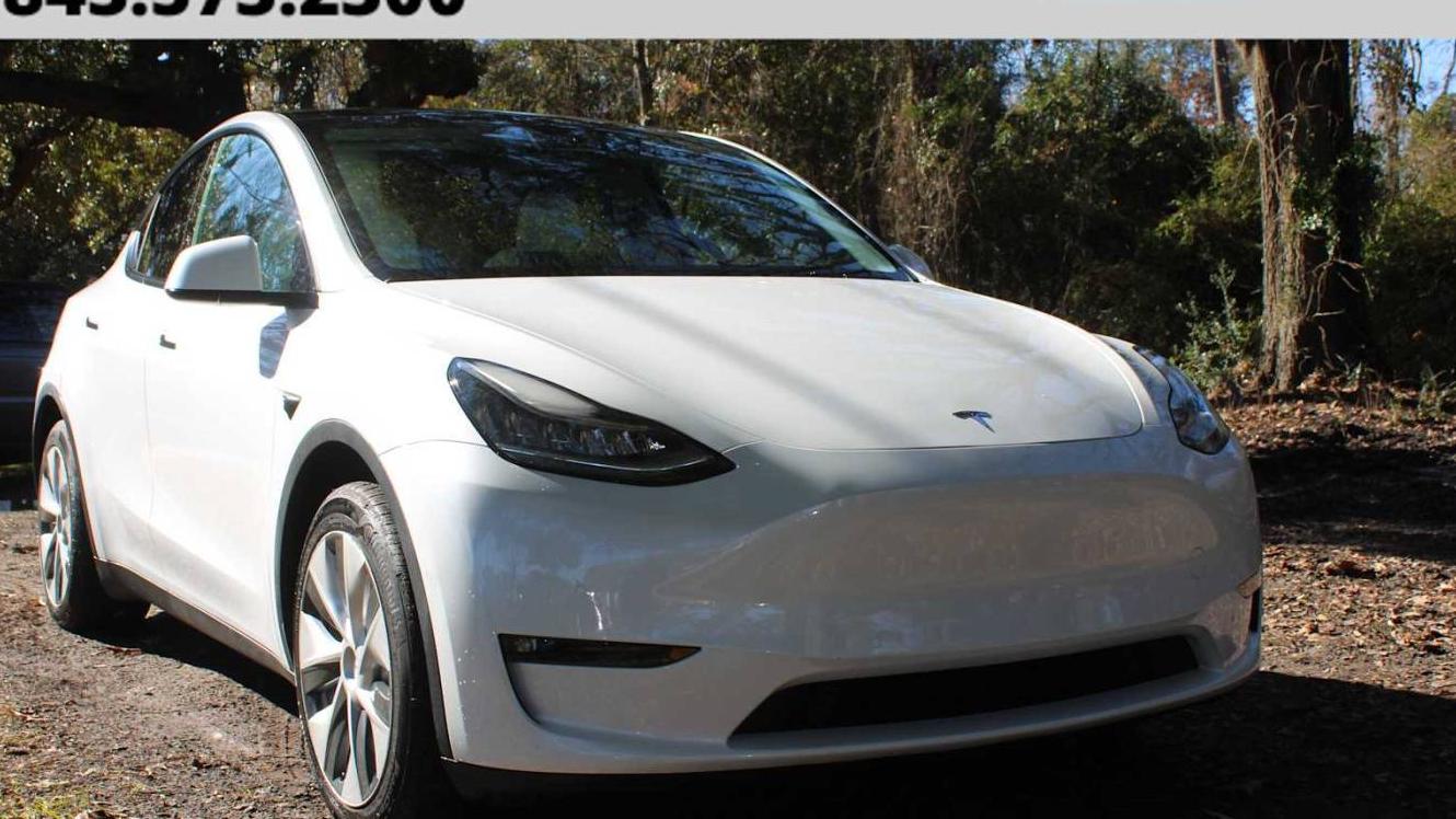 TESLA MODEL Y 2021 5YJYGDEE4MF304014 image